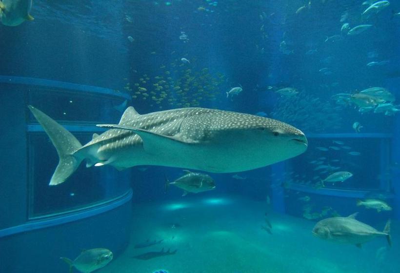 בית מלון כפרי Kkr  Umeda