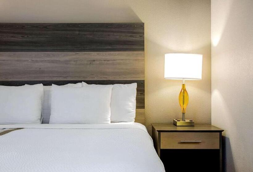 Отель La Quinta By Wyndham Andrews