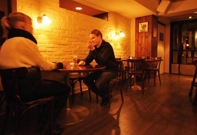 בית מלון כפרי Li Iisalmen Seurahuone