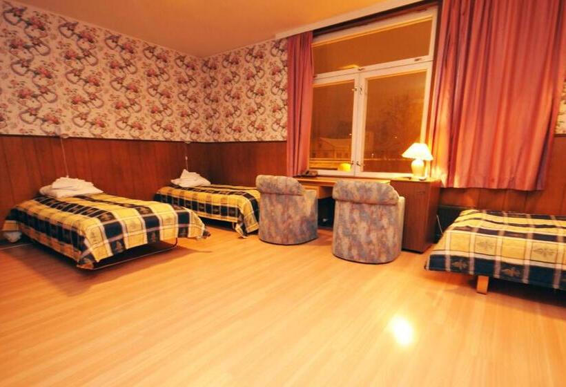 בית מלון כפרי Li Iisalmen Seurahuone