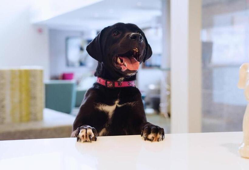 فندق Residence Inn By Marriott Philadelphia Glen Mills/concordville