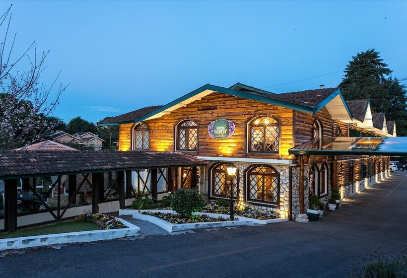 酒店 Savoy Excellence