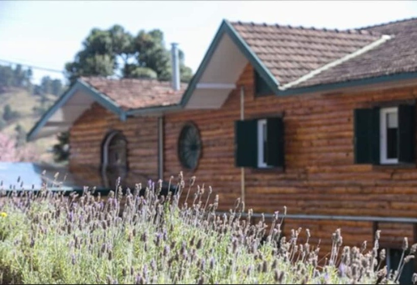 酒店 Savoy Excellence