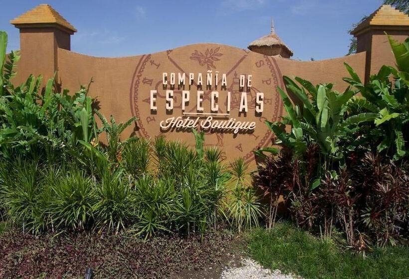 호텔 Soul Spring Sanctuary