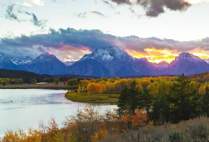 فندق Springhill Suites By Marriott Jackson Hole