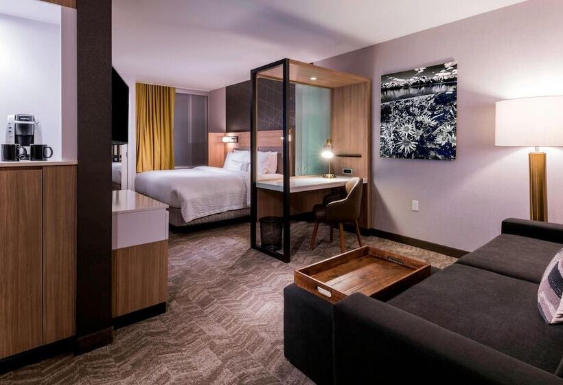 فندق Springhill Suites By Marriott Jackson Hole