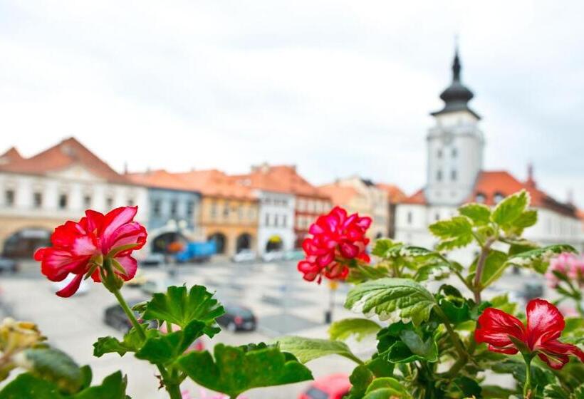 Hotelli U Hada žatec