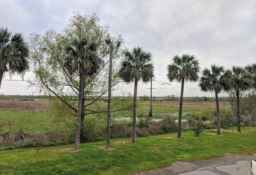 فندق على الطريق Lake Houma Inn