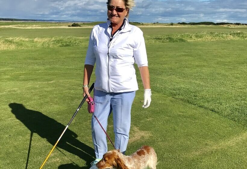 No12 Bed And Breakfast, St Andrews