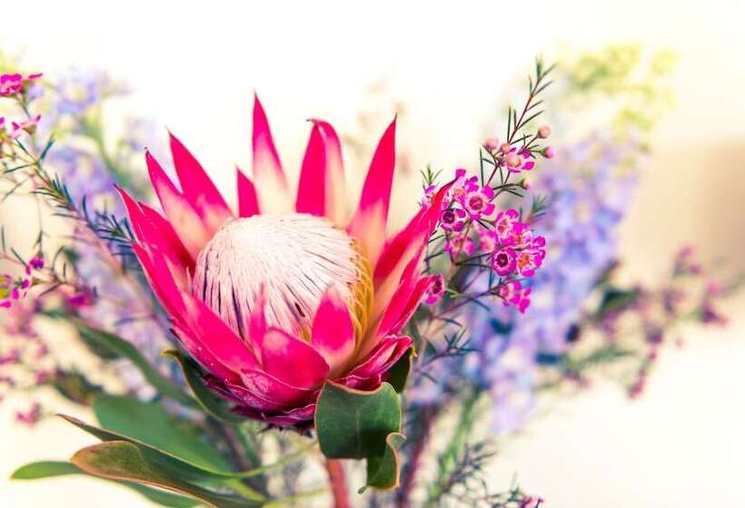 펜션 Le Mahi Guest House