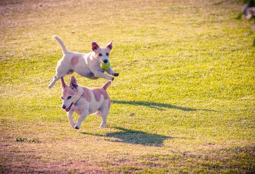 펜션 Le Mahi Guest House