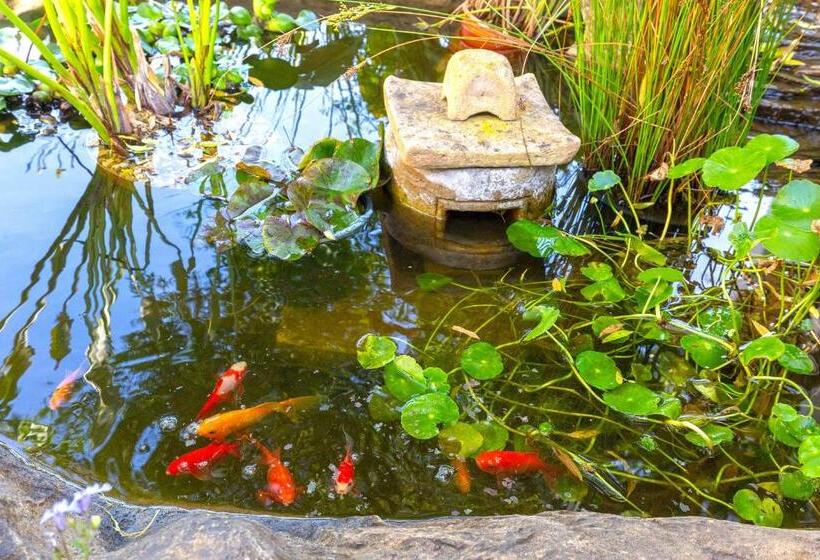 펜션 Le Mahi Guest House