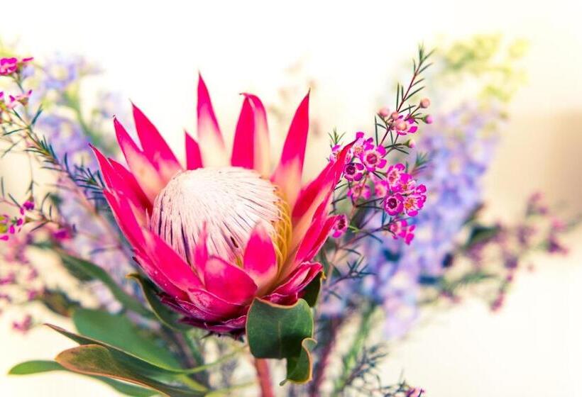 펜션 Le Mahi Guest House