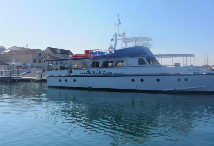 פנסיון Villa Jidro