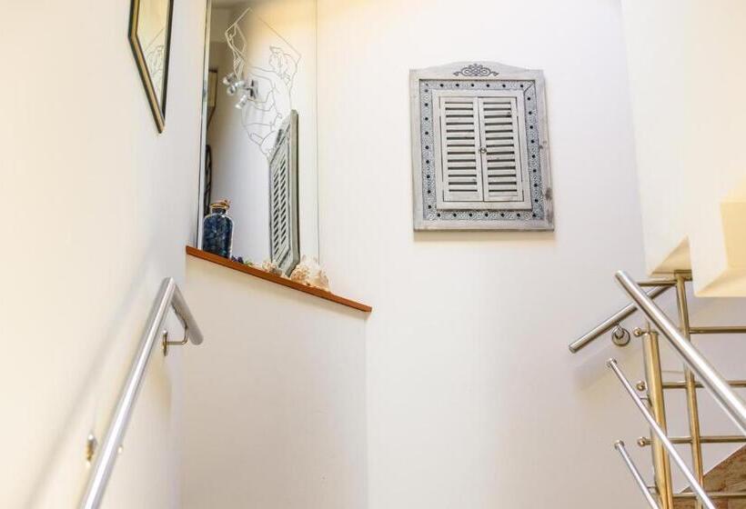 פנסיון Villa Jidro