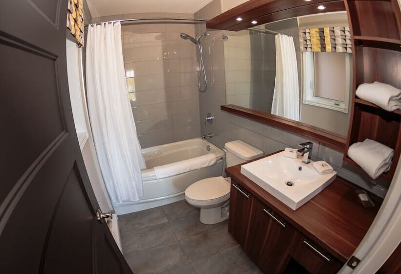 渡假胜地  Centre De Villégiature Dam En Terre