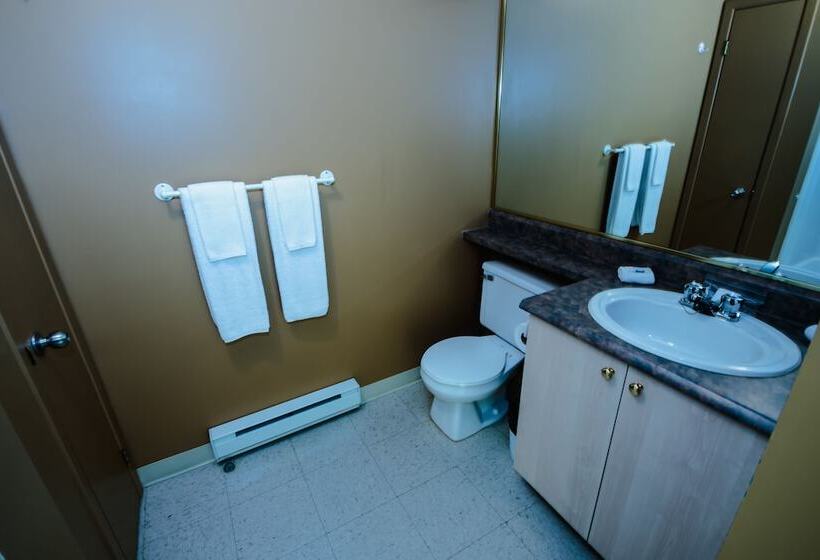 渡假胜地  Centre De Villégiature Dam En Terre