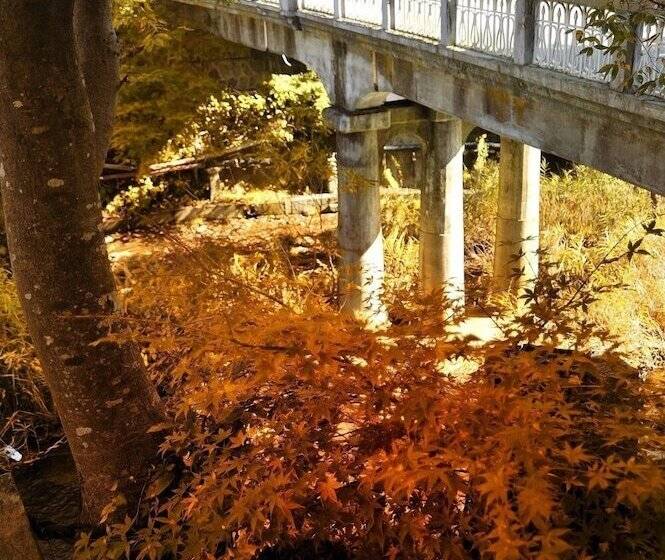 ريوكان Kutsurogijyuku Shintaki