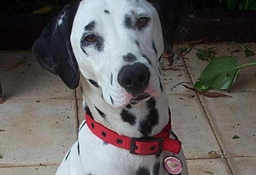 Tantarra Bed & Breakfast