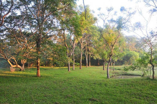 Water S Edge Anuradhapura
