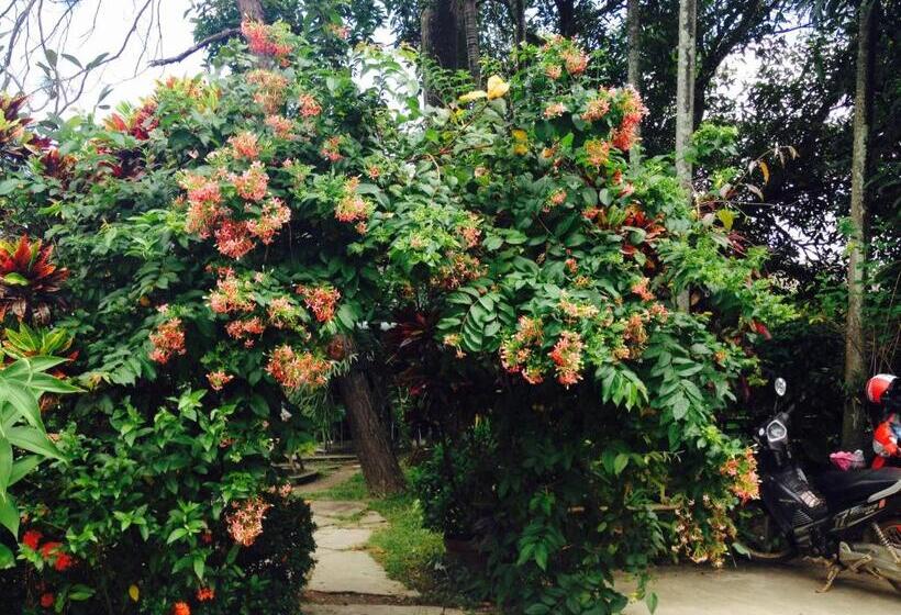 旅馆 Baan Bua Guest House