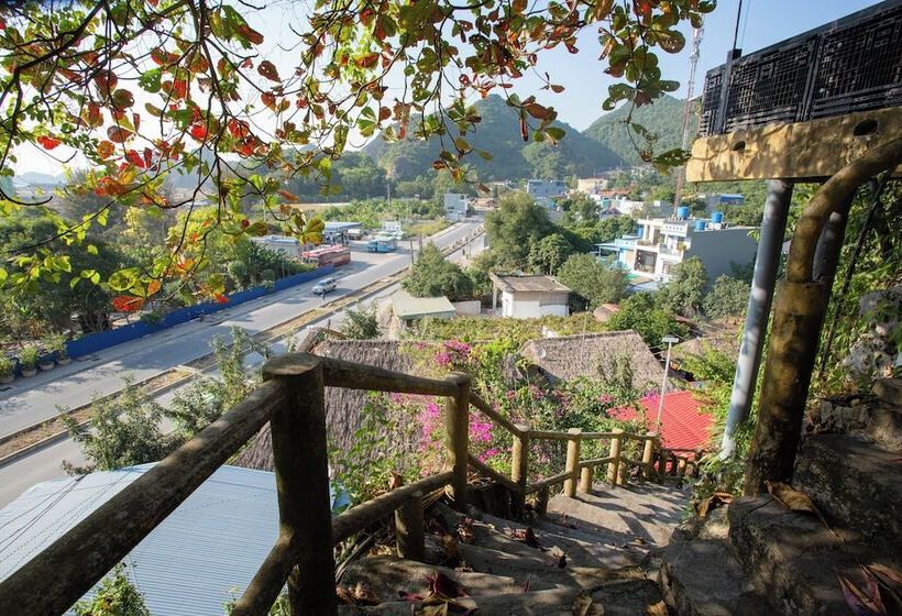 تختخواب و صبحانه Cat Ba Mountain View Homestay