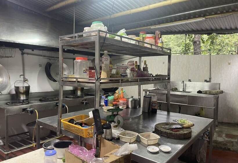 تختخواب و صبحانه Cat Ba Mountain View Homestay