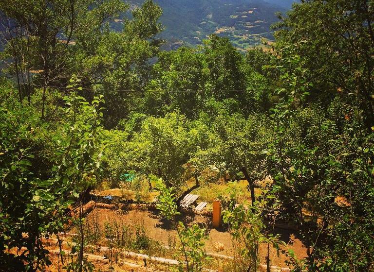 צימר Coins Du Monde