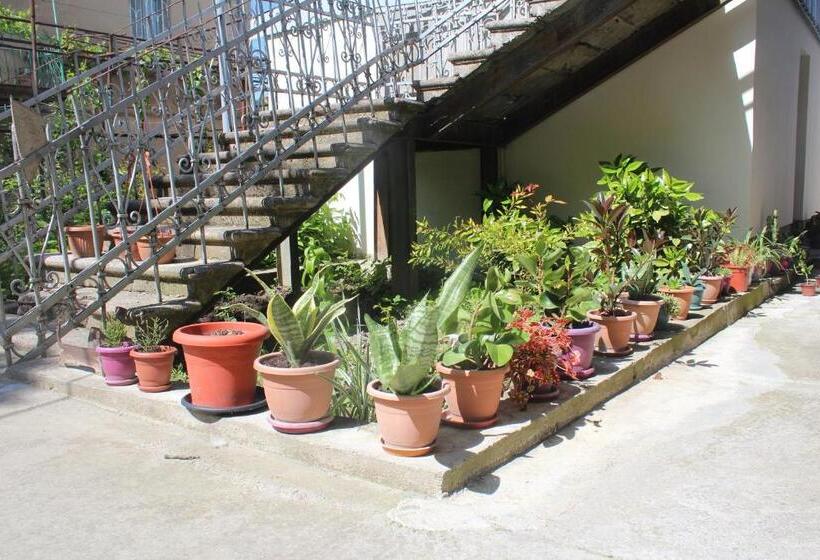 تختخواب و صبحانه Guesthouse Levani