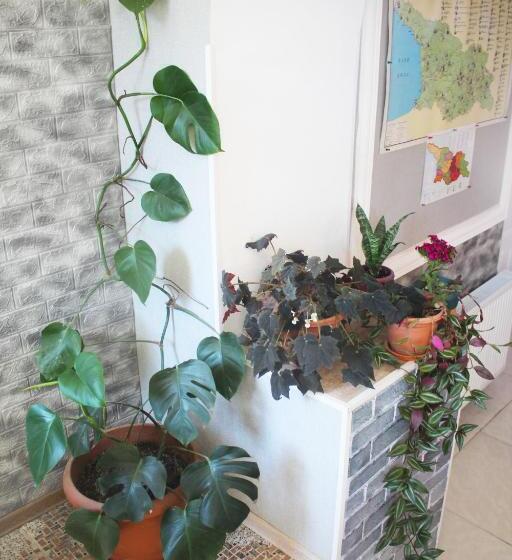 تختخواب و صبحانه Guesthouse Levani