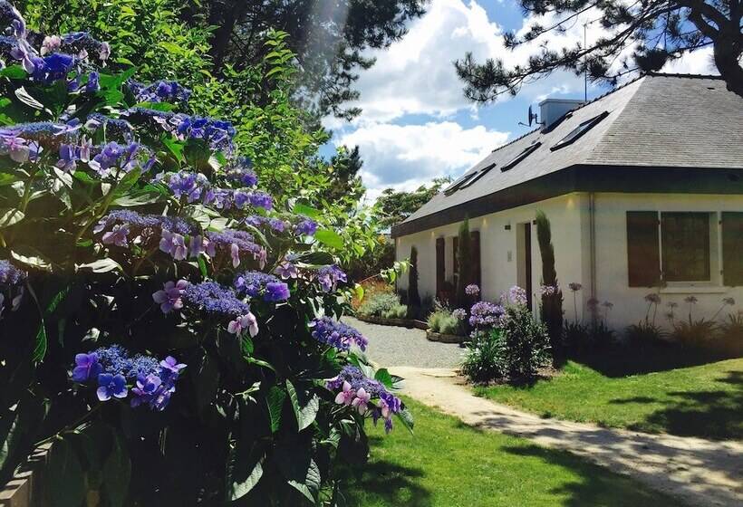 צימר La Dolce Vita