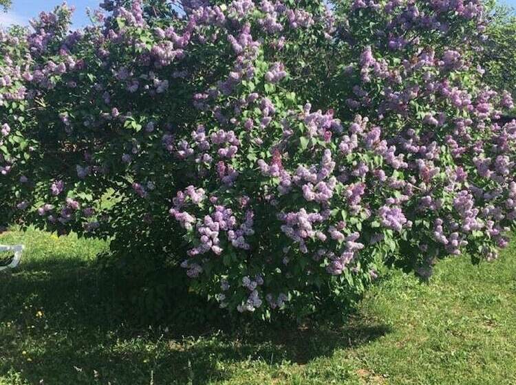 مبيت وإفطار La Vignarelle