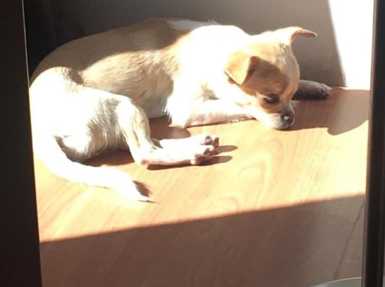 مبيت وإفطار La Vignarelle