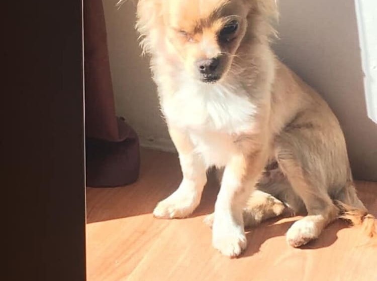 مبيت وإفطار La Vignarelle