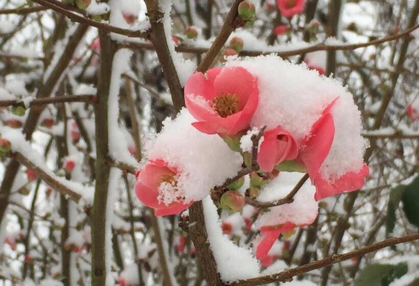 Bed and Breakfast Les Colonnes De Chanteloup
