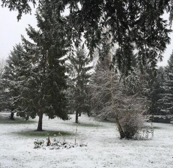 Bed and Breakfast Les Colonnes De Chanteloup