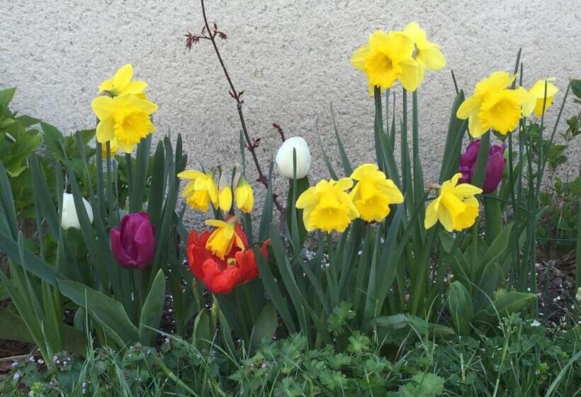 Bed and Breakfast Les Colonnes De Chanteloup