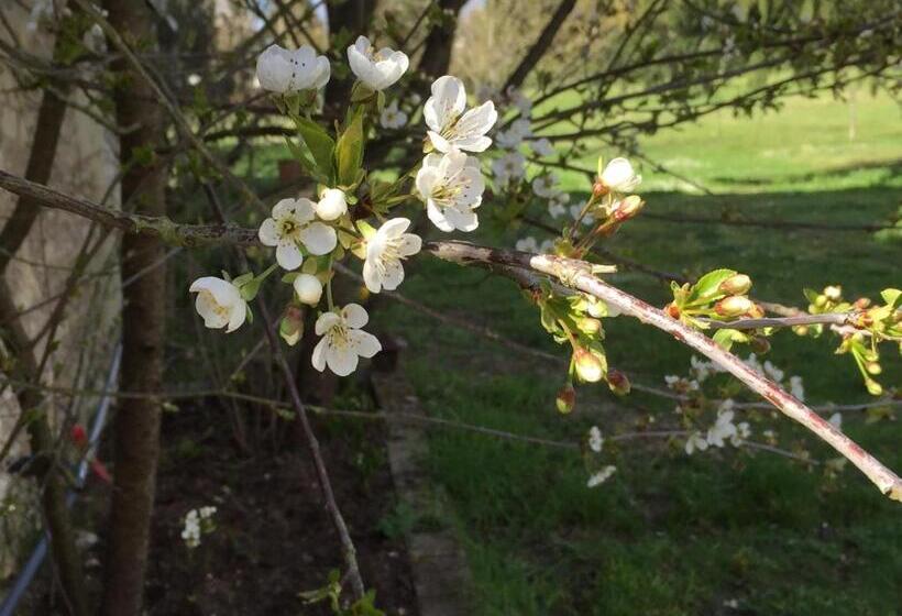 Bed and Breakfast Les Colonnes De Chanteloup