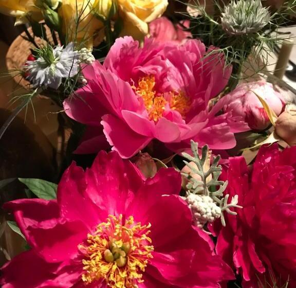 住宿加早餐 Moulin De Bapaumes