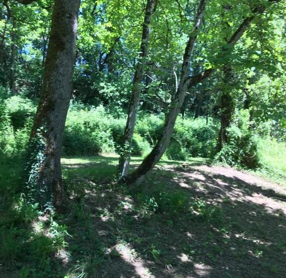 住宿加早餐 Moulin De Bapaumes