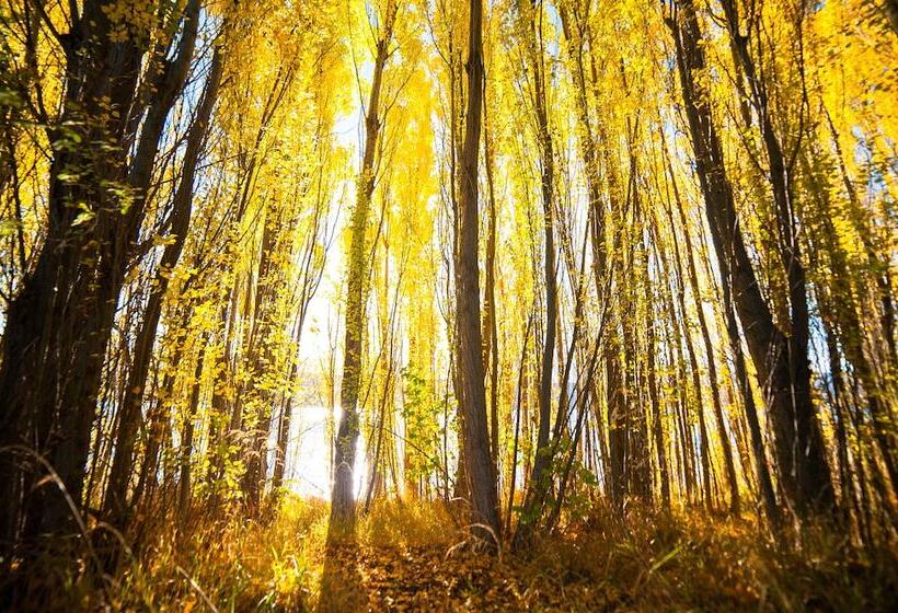 مبيت وإفطار Mt Michael Lodge