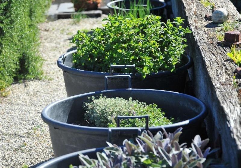 مبيت وإفطار Mt Michael Lodge