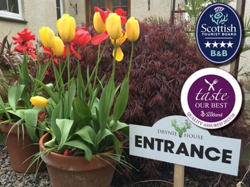 민박 Old Drynie House