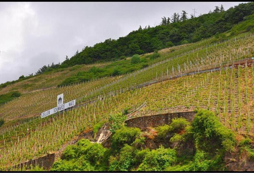 Bed and Breakfast Pension Adelheid Moselhype&wine