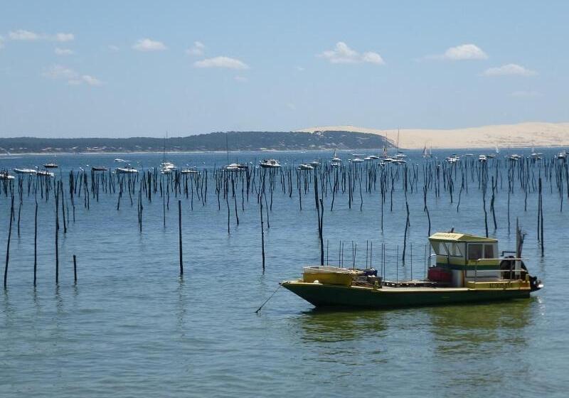 تختخواب و صبحانه Villa Alluro