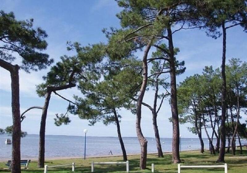 تختخواب و صبحانه Villa Alluro