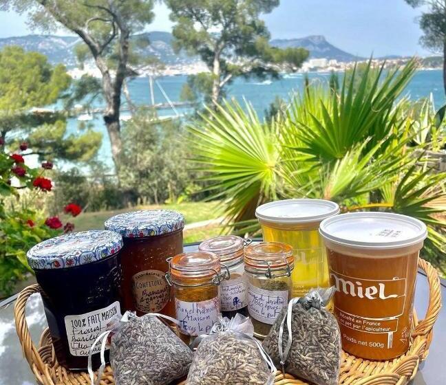 مبيت وإفطار Villa Chateau Les Terrasses, Tamaris, Vues Mer Exceptionnelles Au Calme, Mer Et Plage à 2mn à Pied