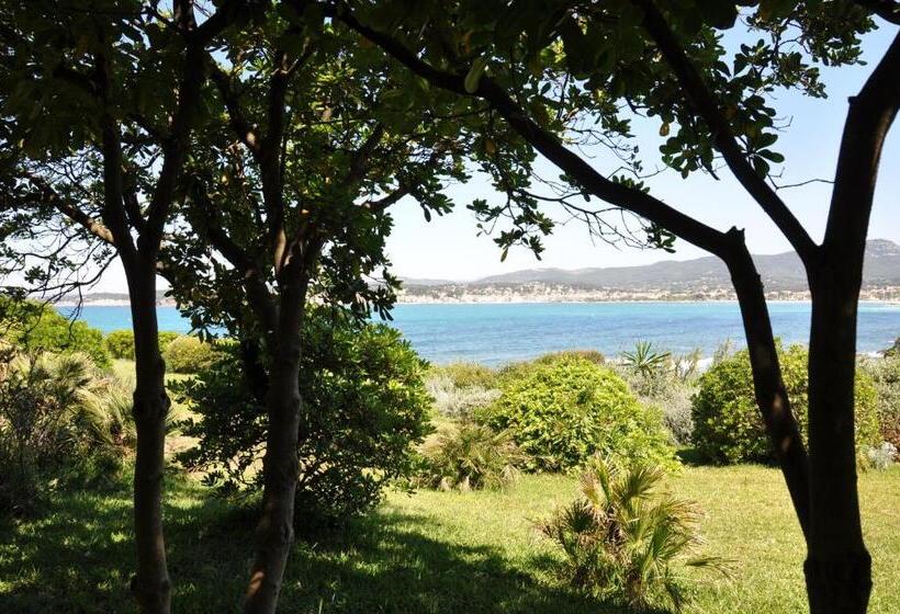 مبيت وإفطار Villa Hippocampe