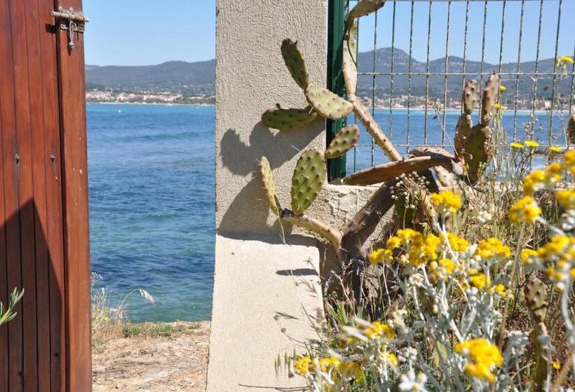 مبيت وإفطار Villa Hippocampe