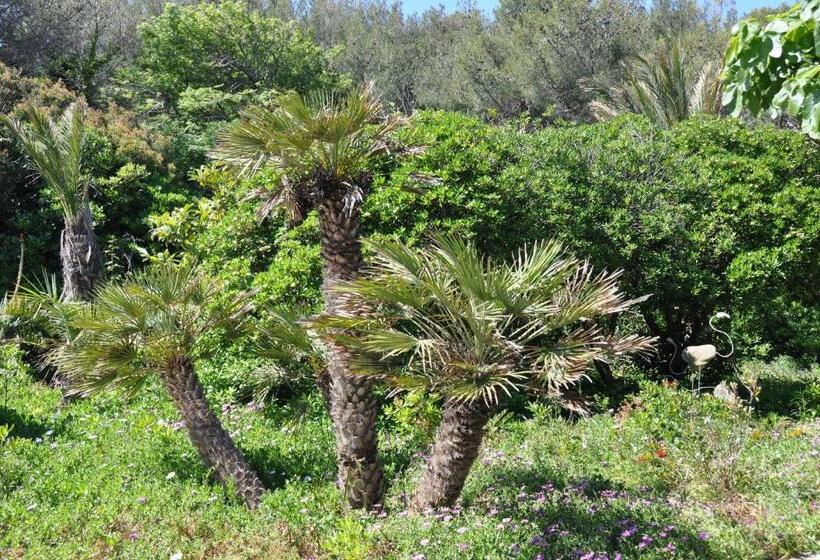 تختخواب و صبحانه Villa Hippocampe